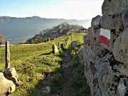 81 Da Zergnone (852 m) il sent. 505 B scende al Colle (800 m) per proseguire verso Cassarielli (700 m) con vista in Canto Alto